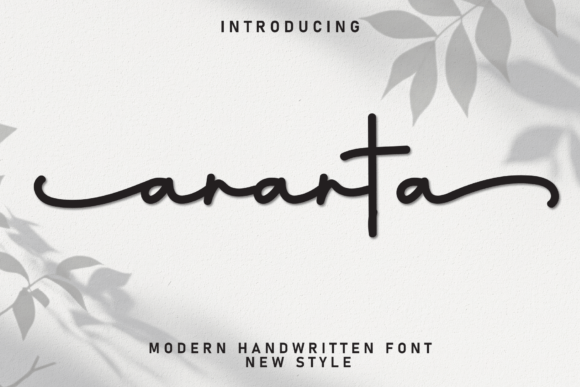 Ananta: A Modern Script Font for Web Design