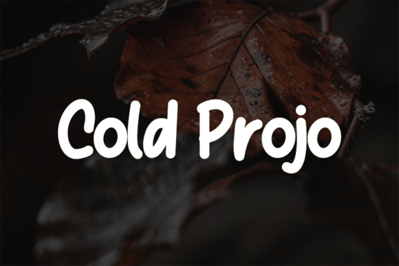 Cold Projo Typeface: A Designer’s Real-World Test