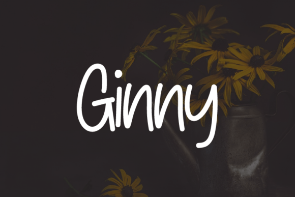 Ginny: A Handwritten Font for Modern Web Design