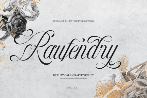 Raufendry Font: Elevating Campaign Visuals